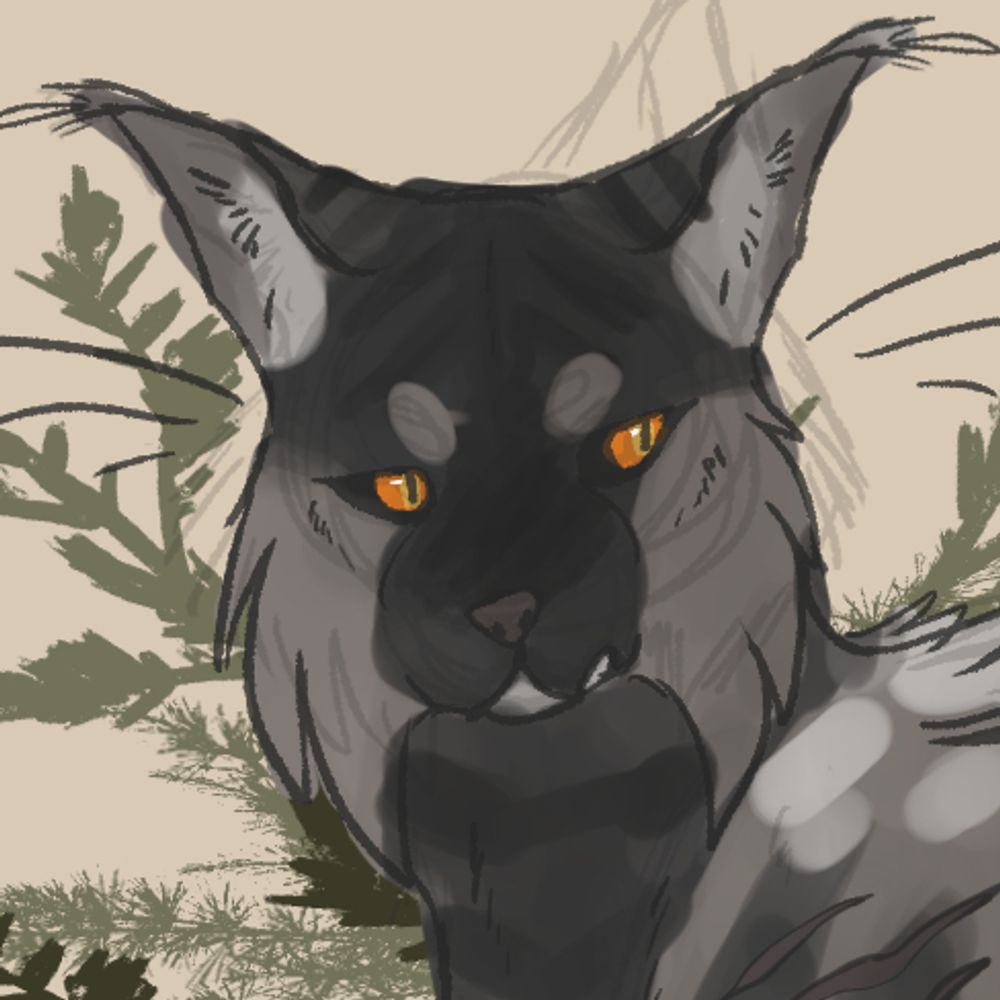 Canis
