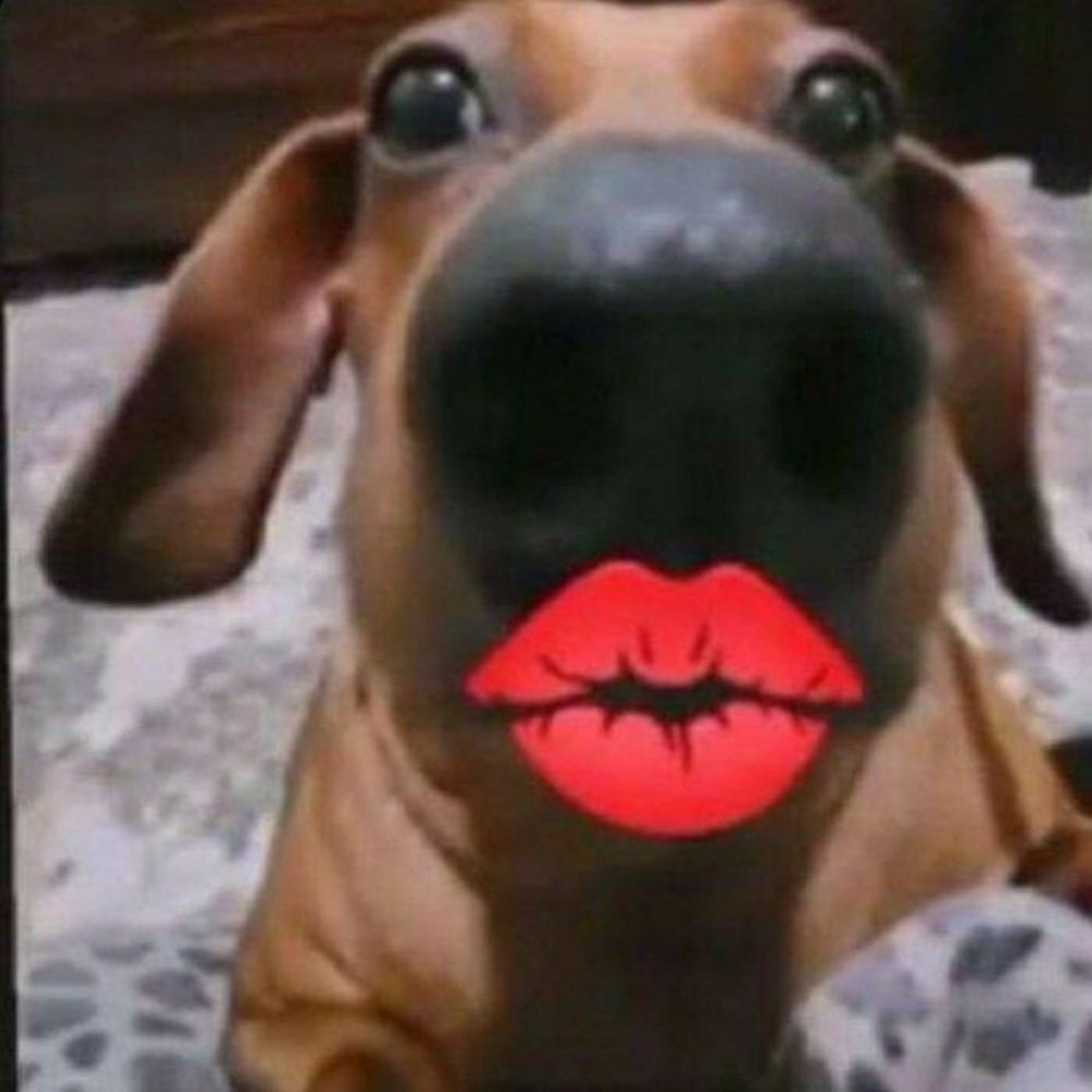 Beyonceta