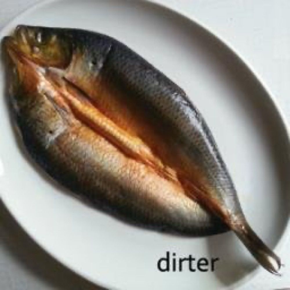 Dirter Promotions