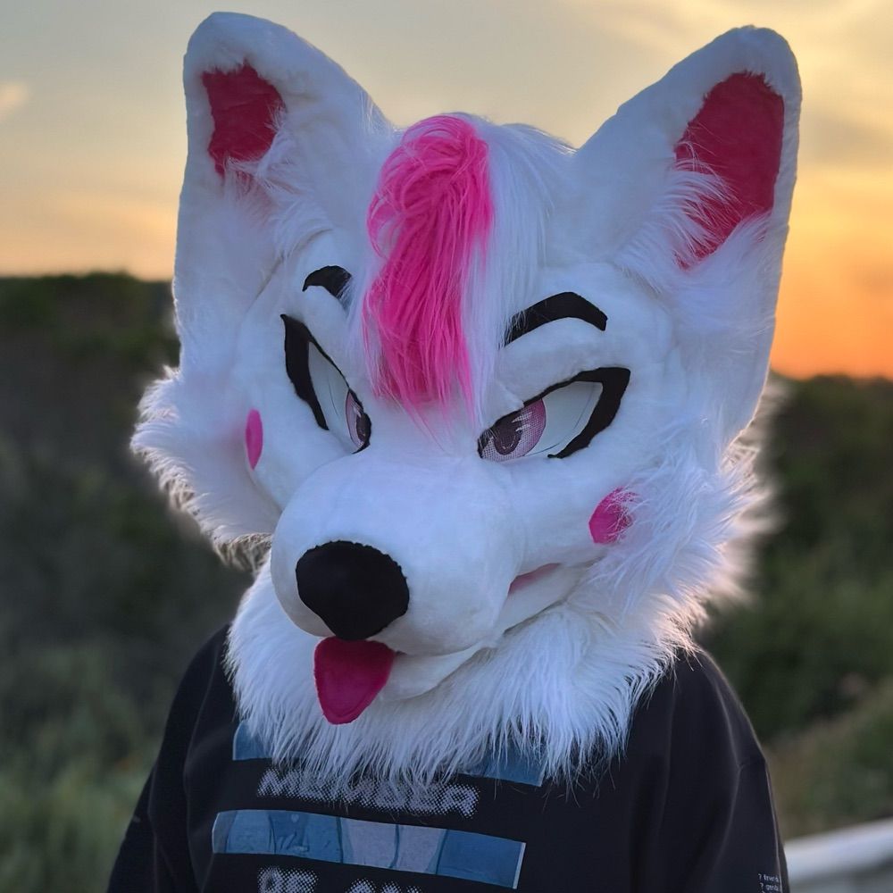 🤍Aaron Foxxo💖