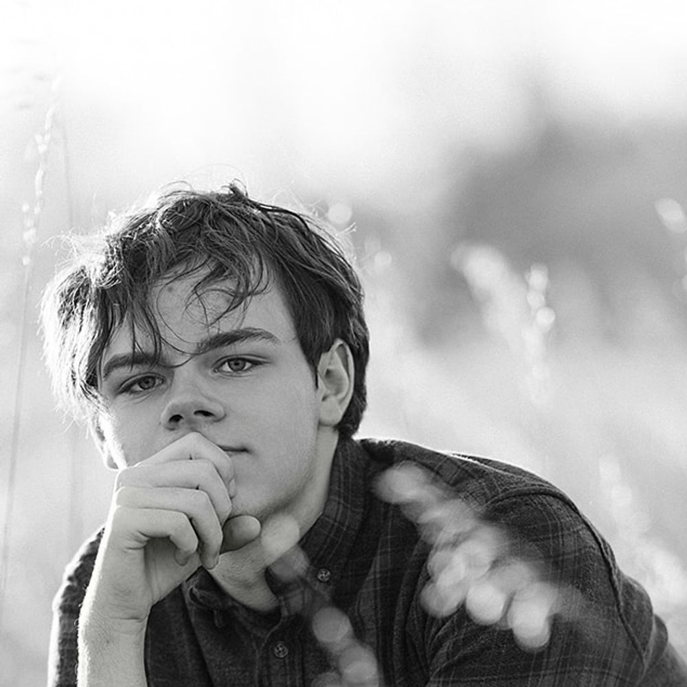 Landon Williams (Voice Actor)