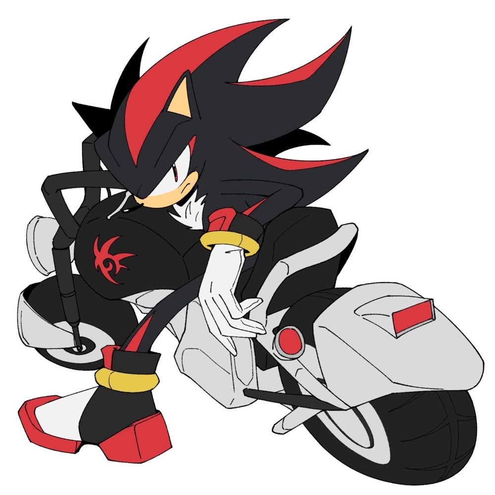 Shadow the Hedgehog