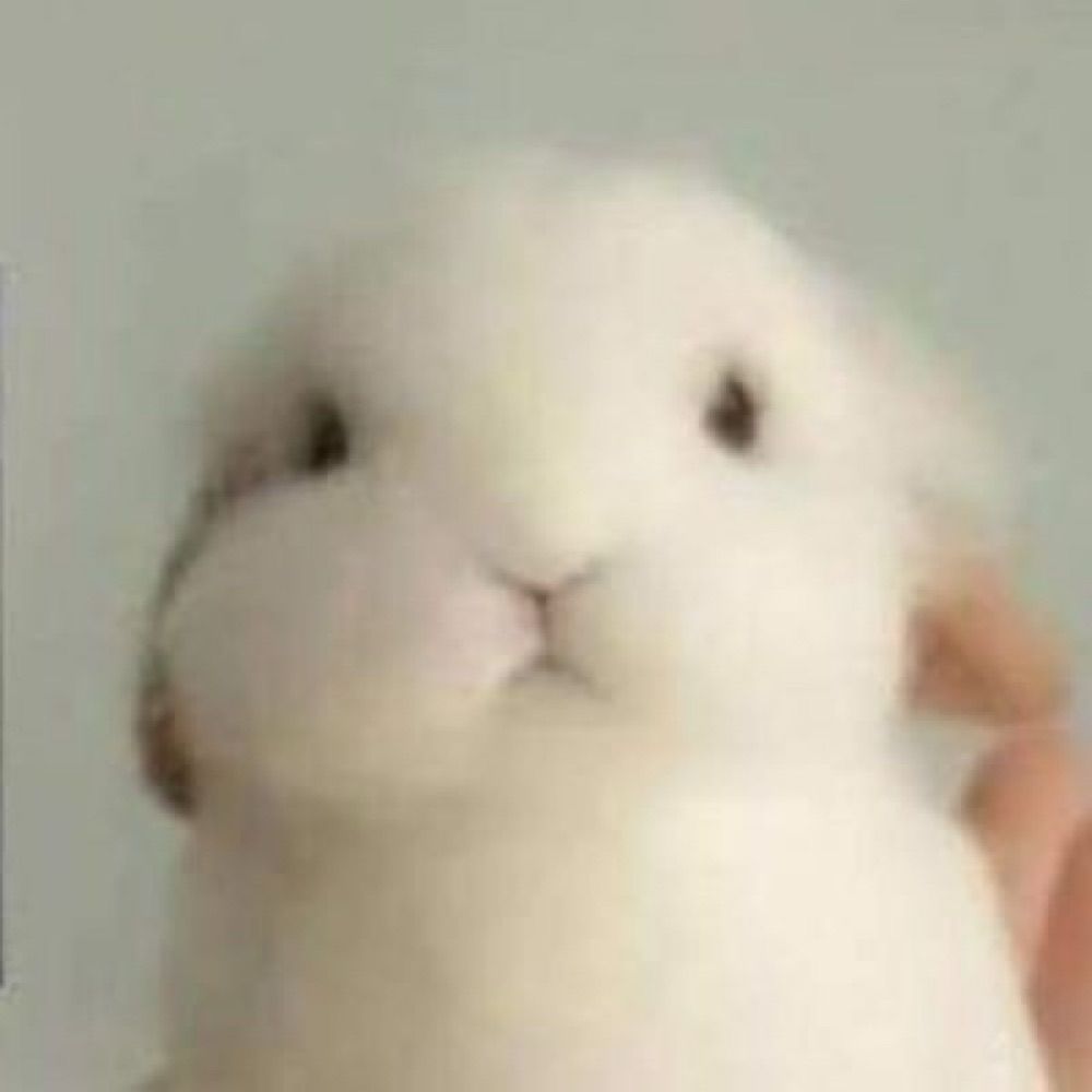 a l e x a