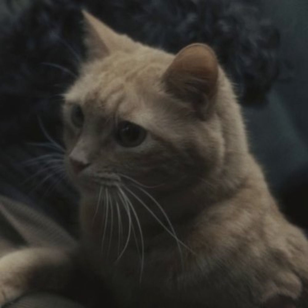 Nick