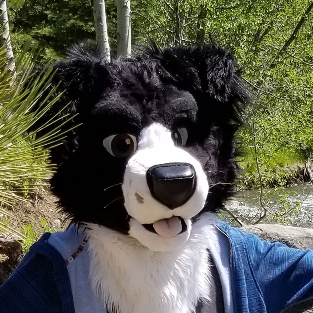 Collie-Ollie Oxen-Free