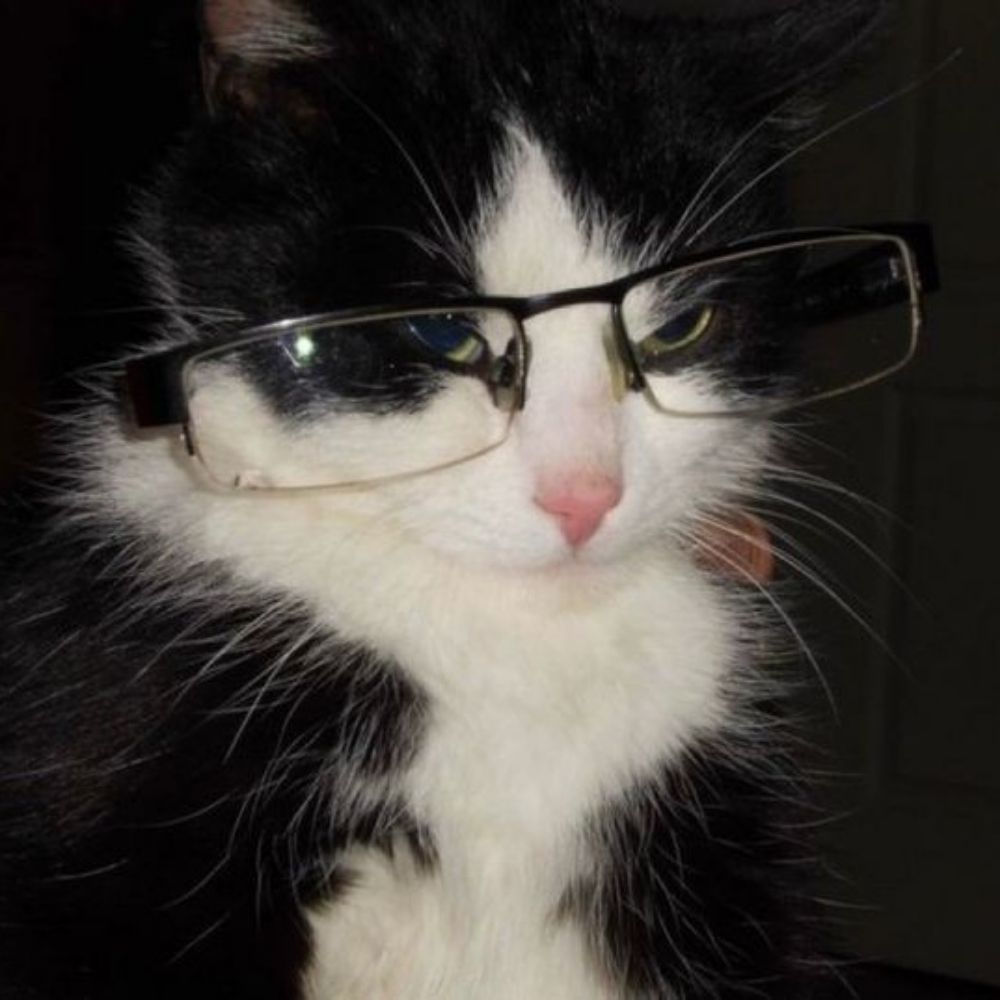hugo⋆♱⋆