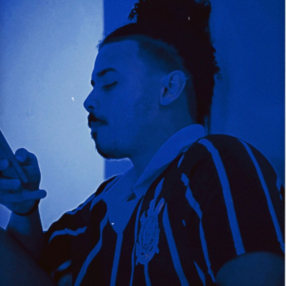 P L  🐼