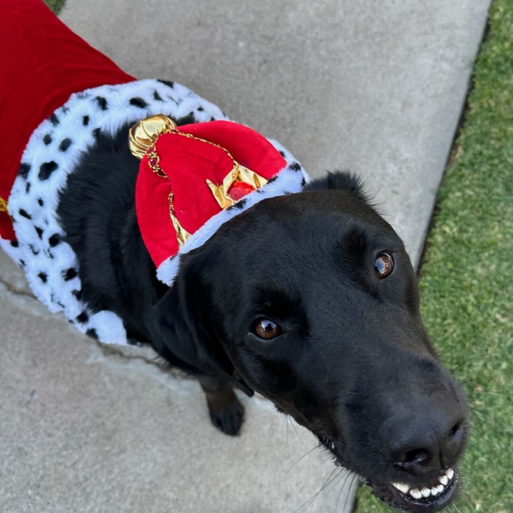 Duke