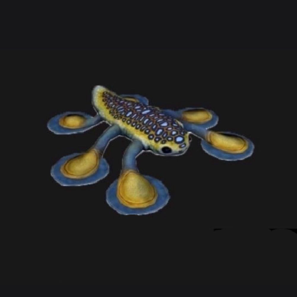Hover