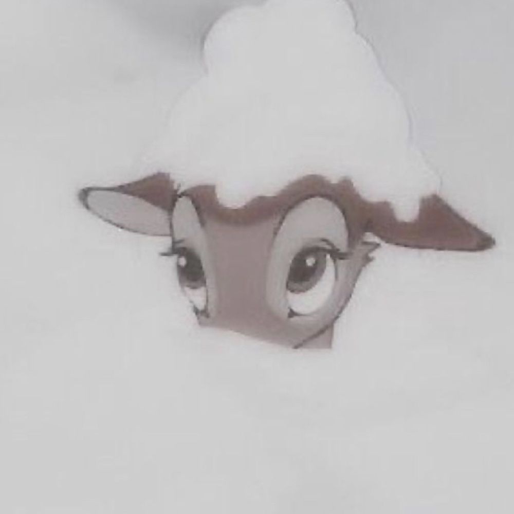 yeppi 
