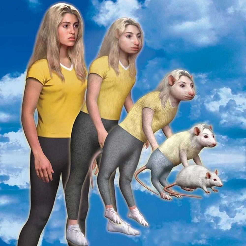 larvalmaterial