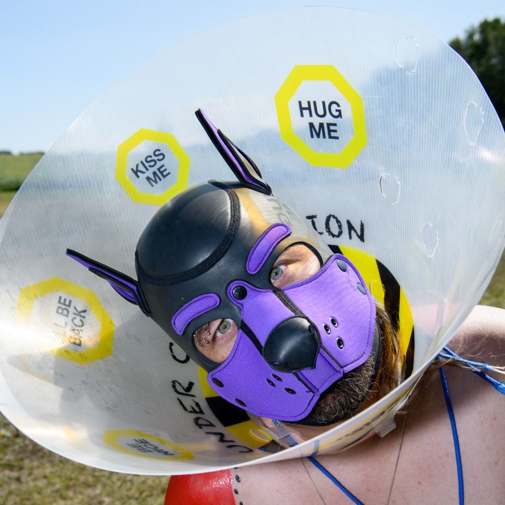 Pup Ash AD