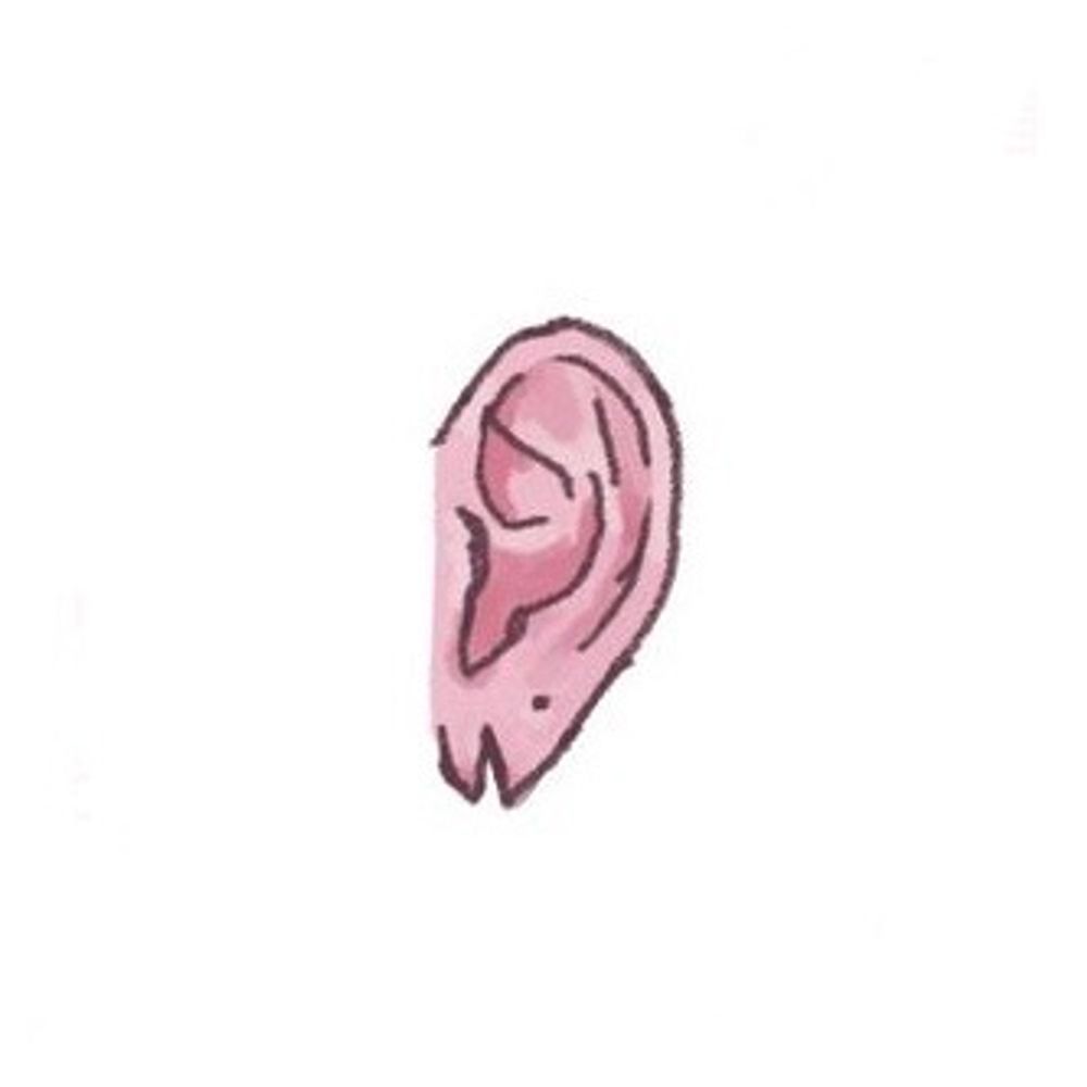 みょき丸