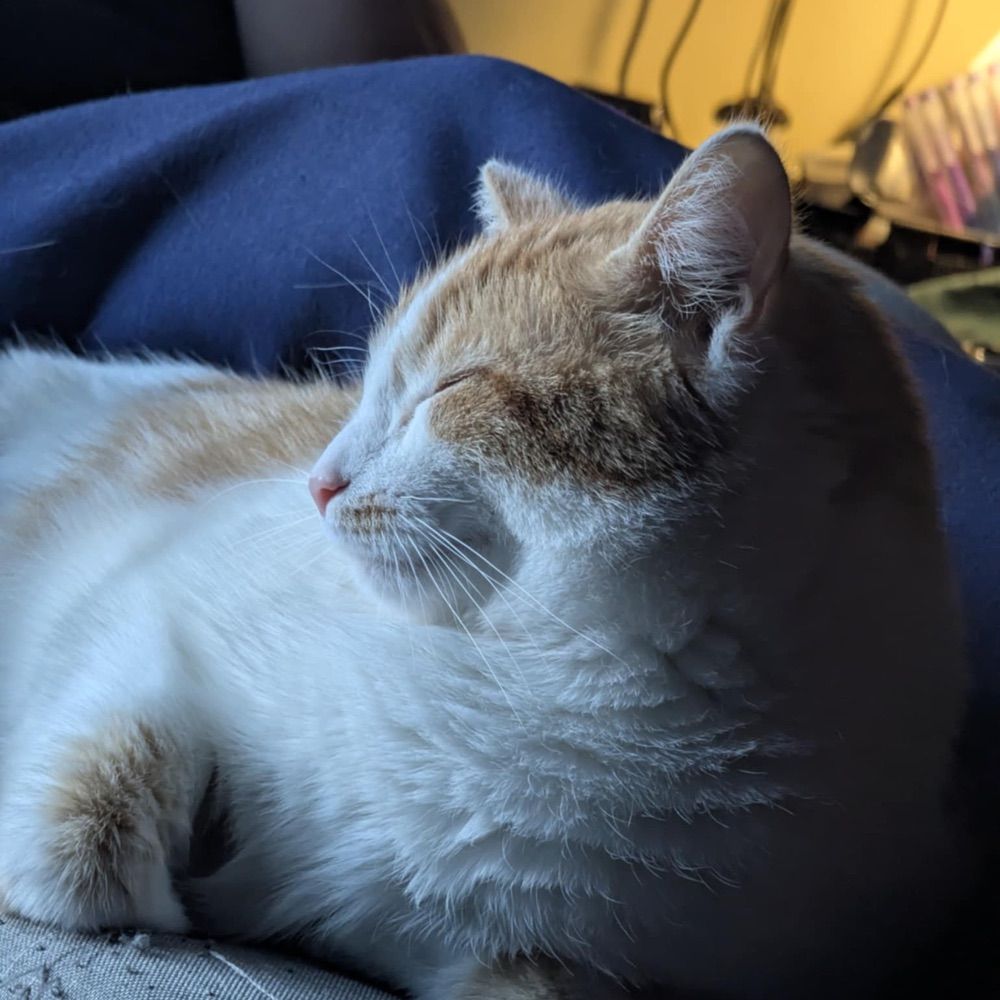 MilleLee