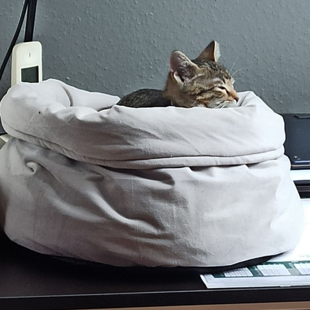 Bebe2