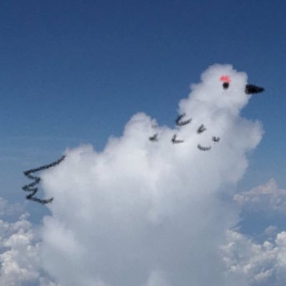 だんまりうさぎ