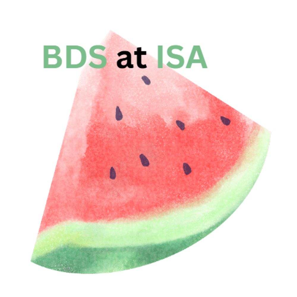 BDS in International Studies