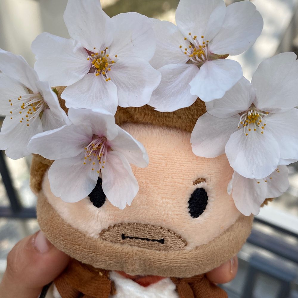 로이