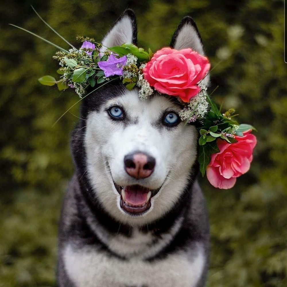Courage - it comes in all sizes