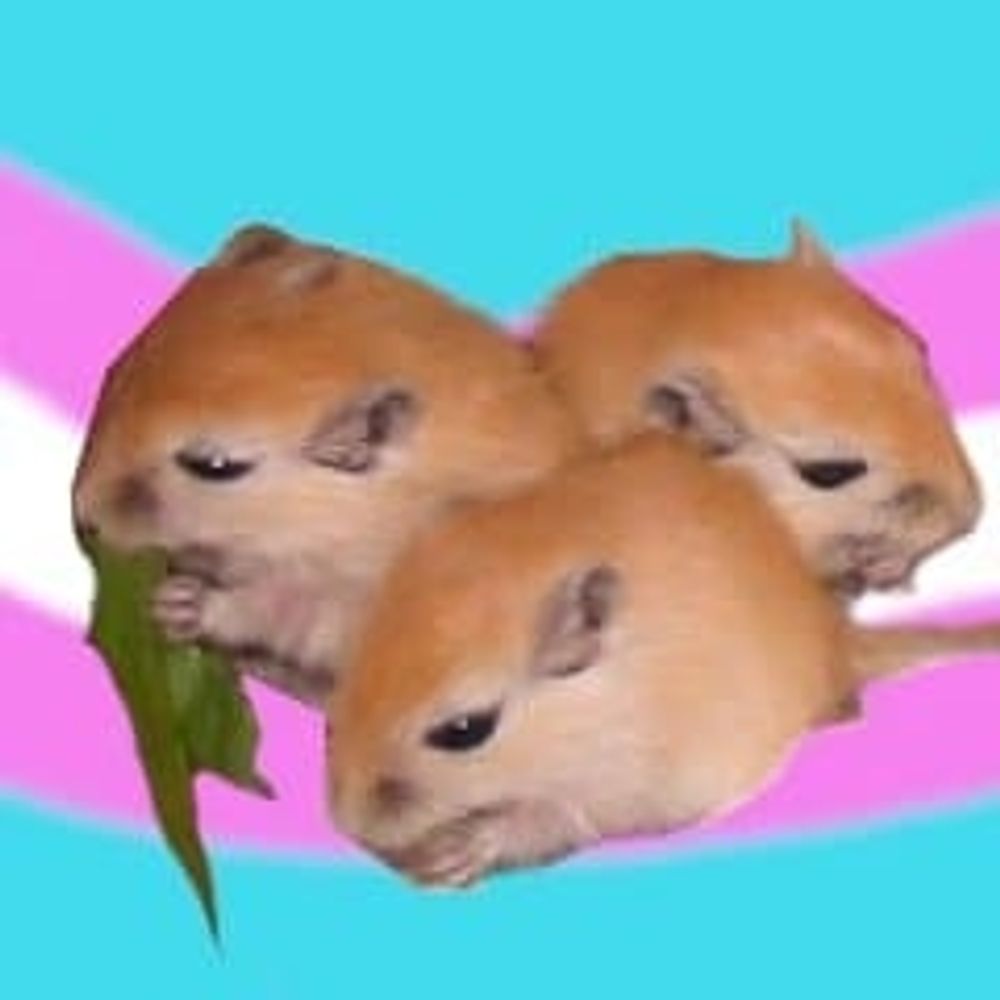 Three Gerbils In A Coat 🏳️‍⚧️🇳🇿