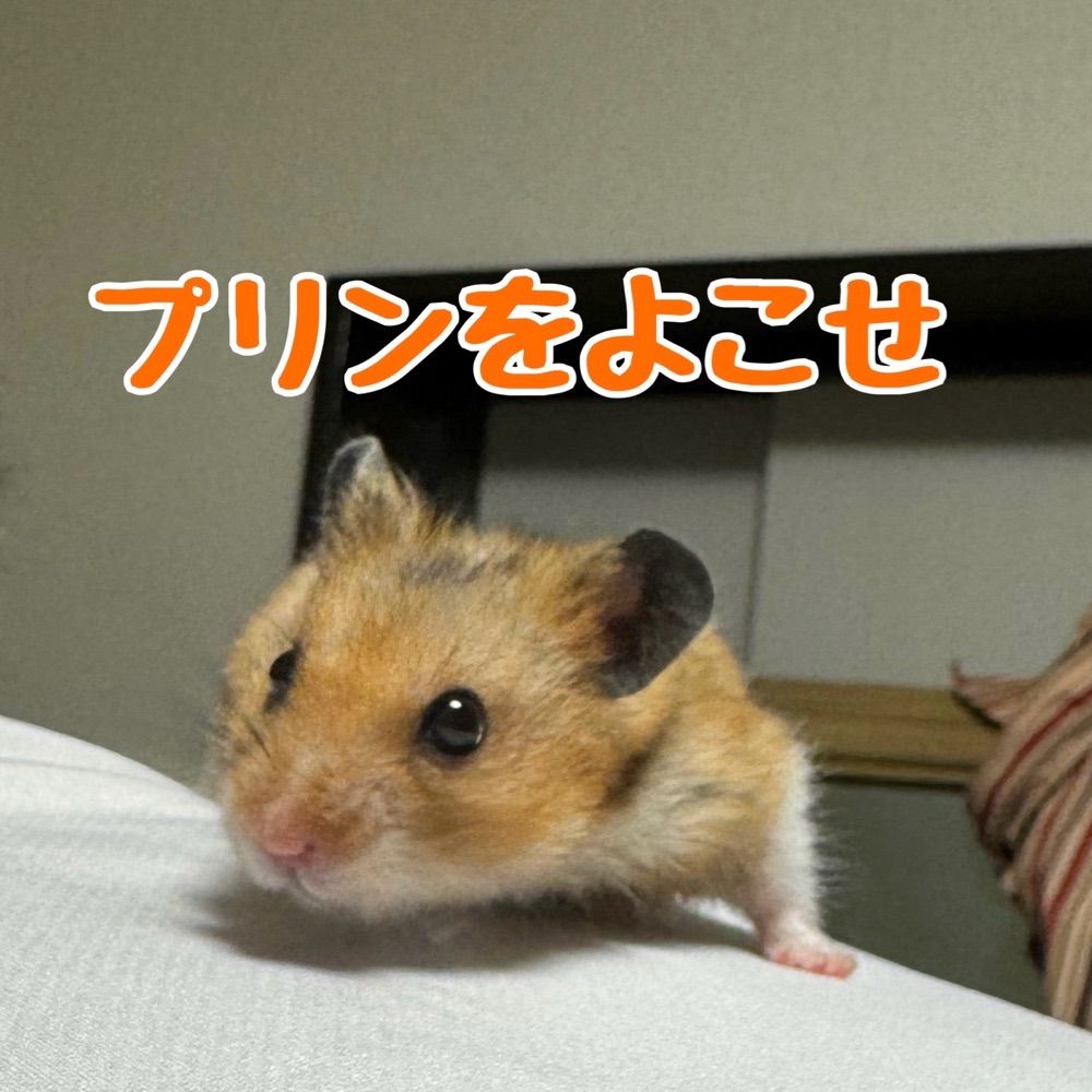 じゅんじゅん