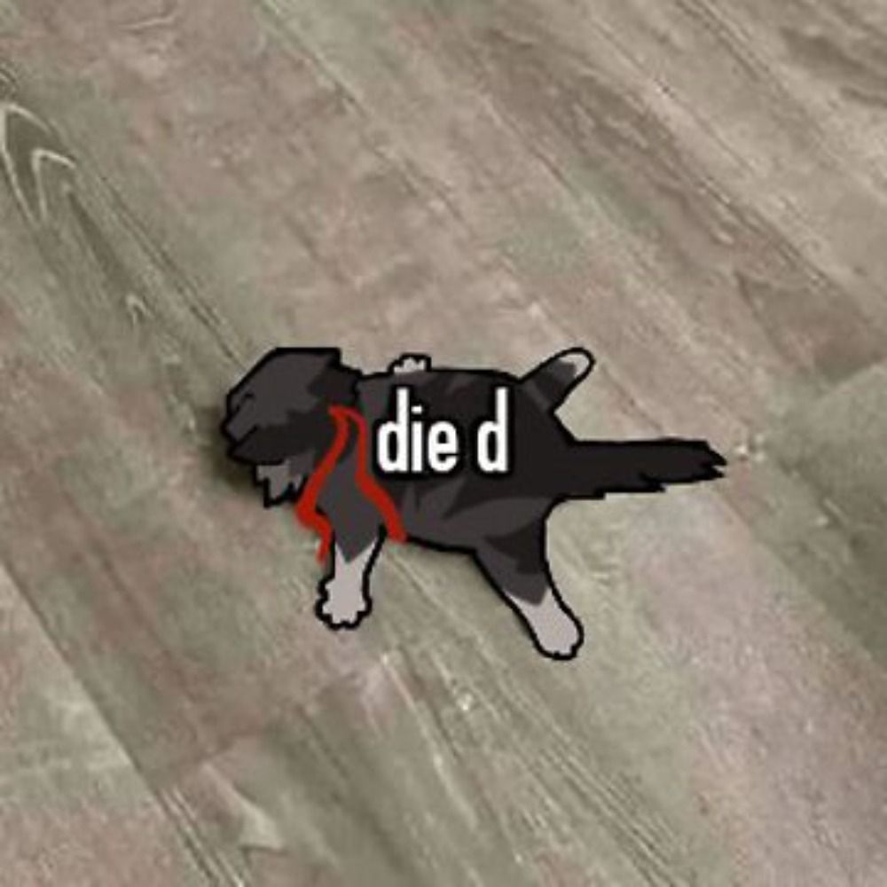 ark