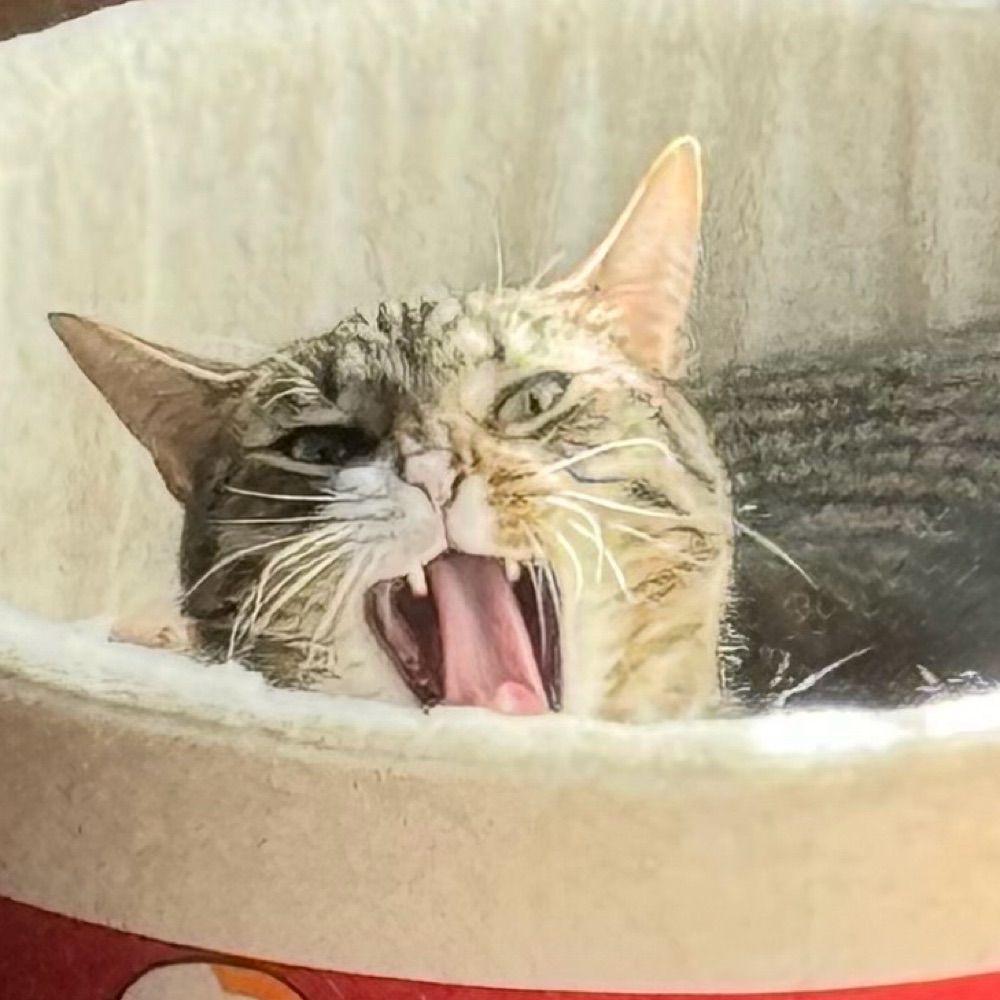 Ori