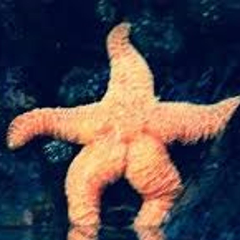 Swibbly Swibbs Swibberton IV