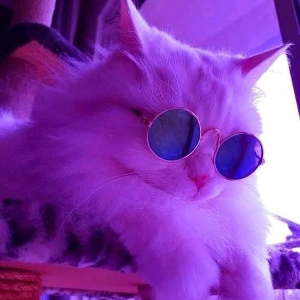 Meu