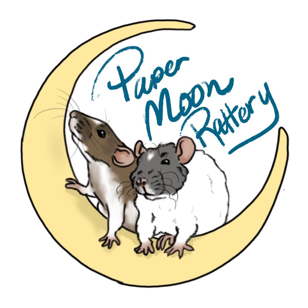 Paper Moon Rattery