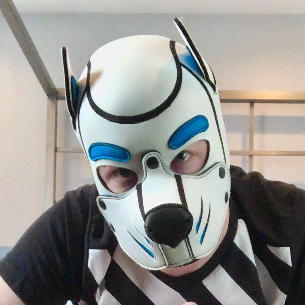 Pup Cooper 🔜 IML