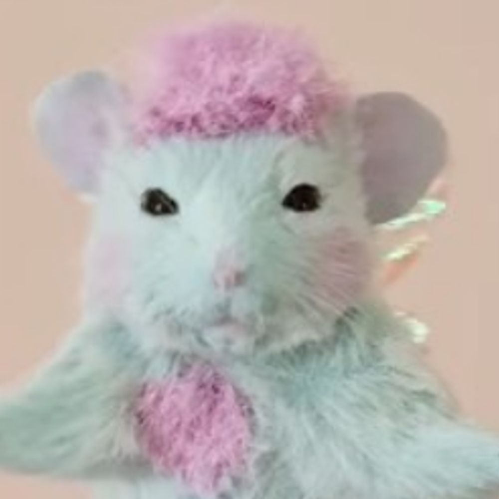Rat