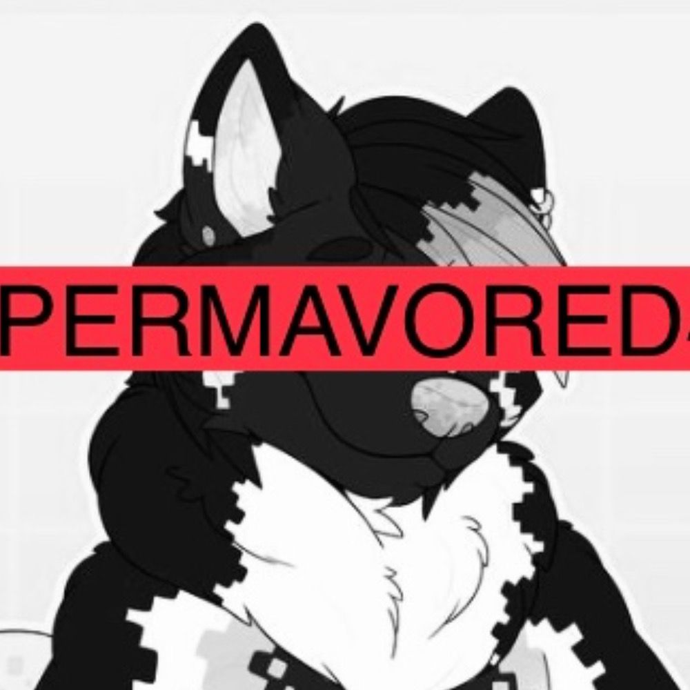Permanent Bear Balls