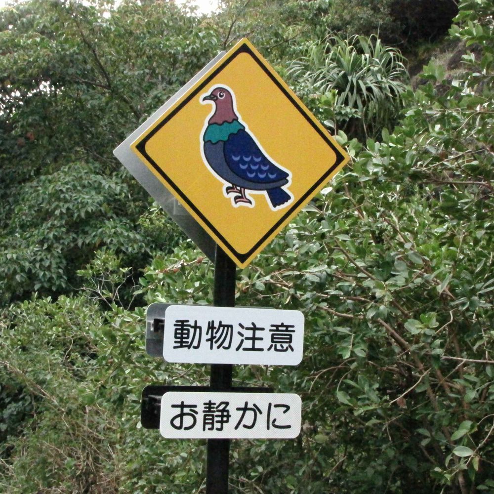 IslandBiologyJAPAN