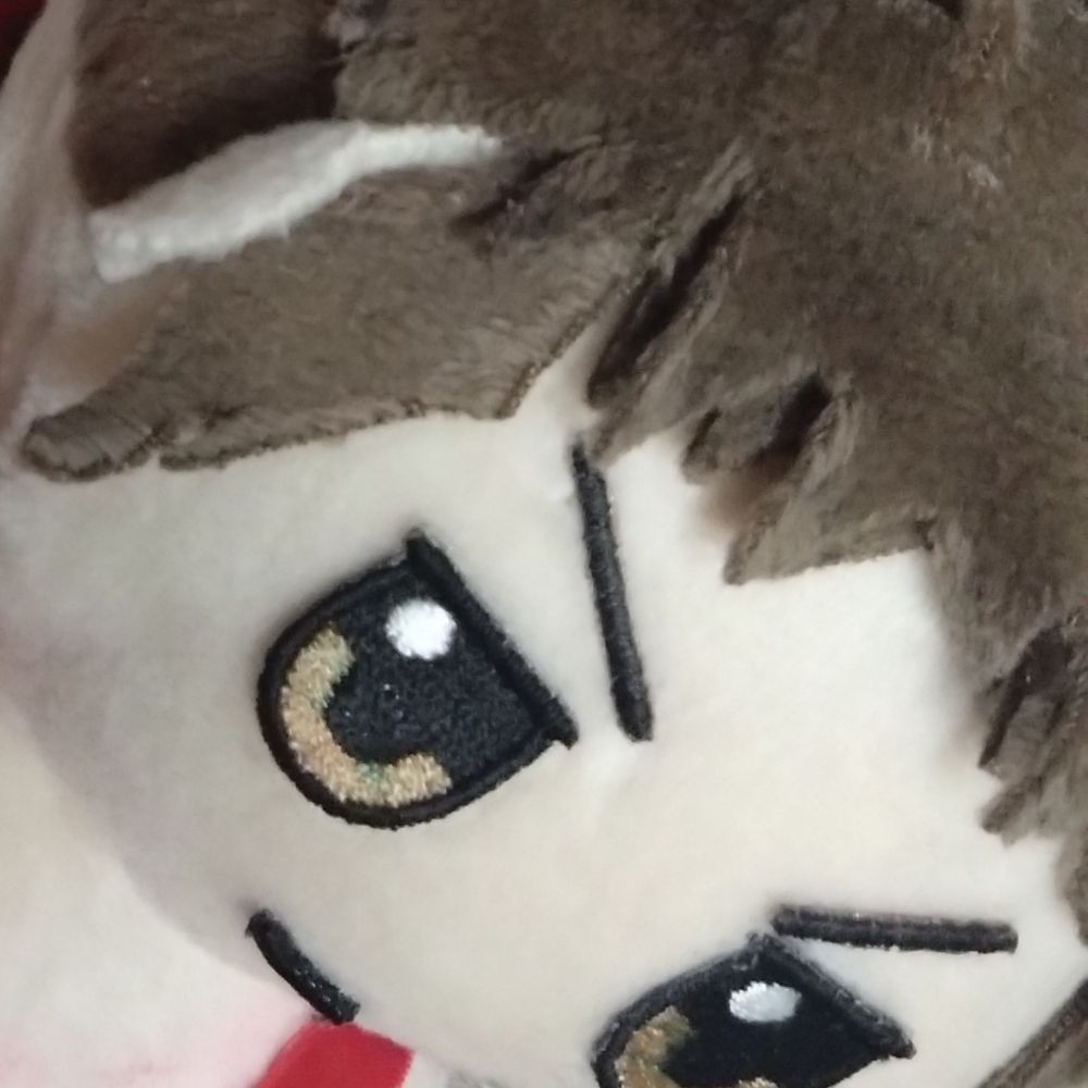 ほむ/神羅