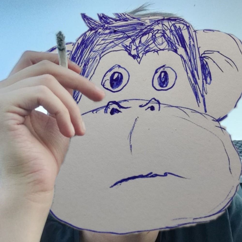 Mr. Schimpanse's avatar