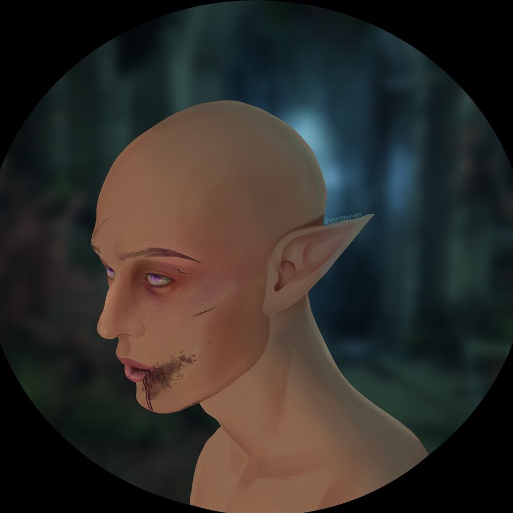 Solas apologist