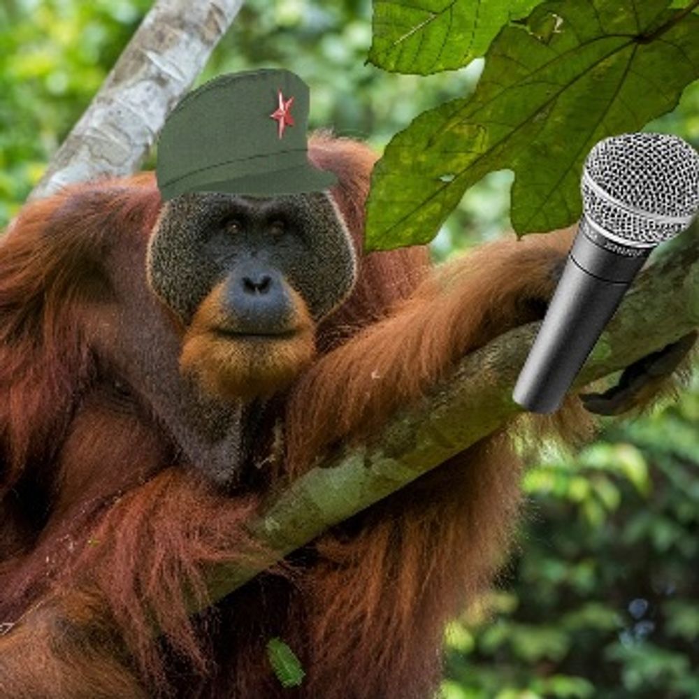 Comrade orangutan