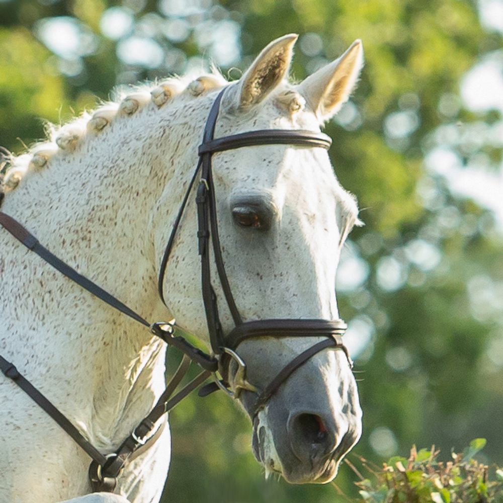 Blindley Heath Horse Trials