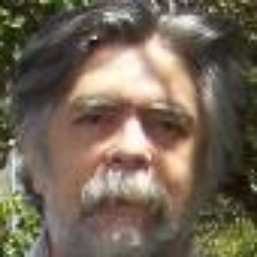 Pedro S Chicherchio