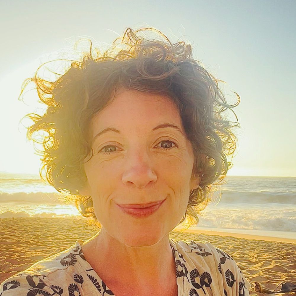 Dr. Susanne Brander