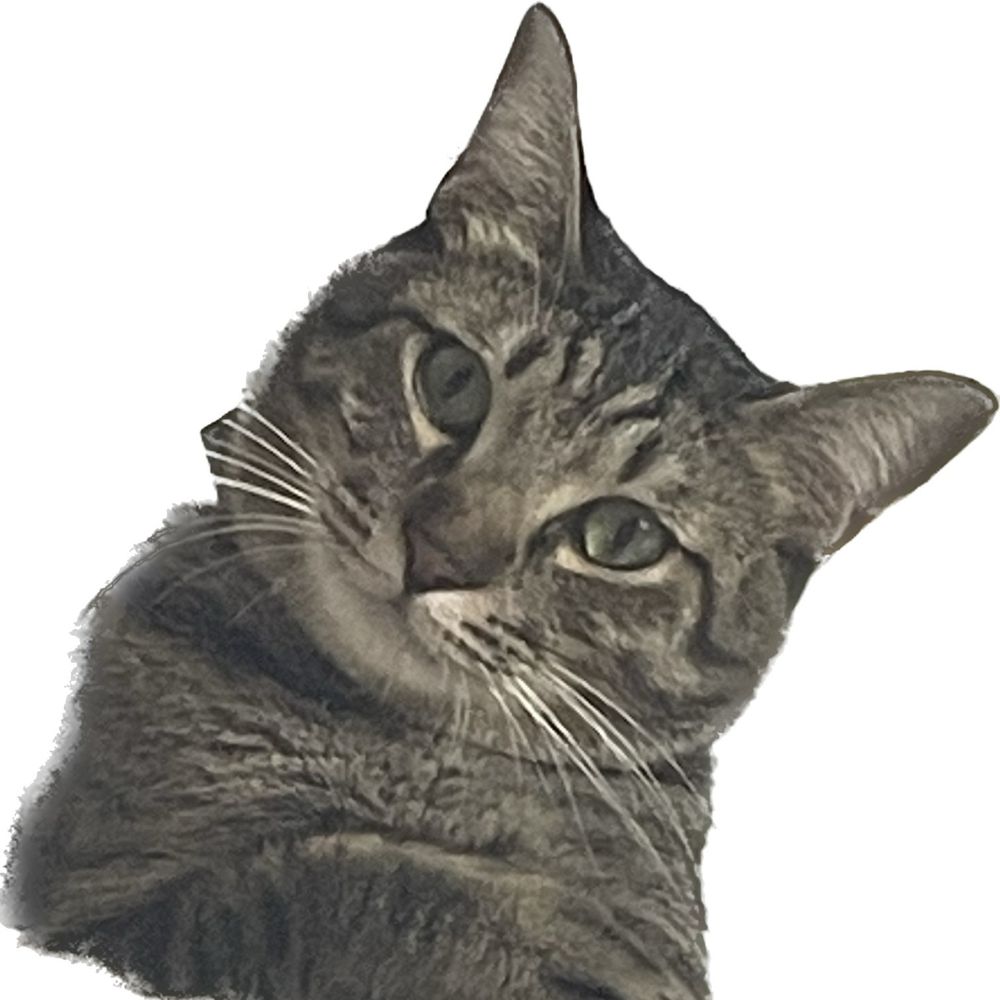 らりるれろ