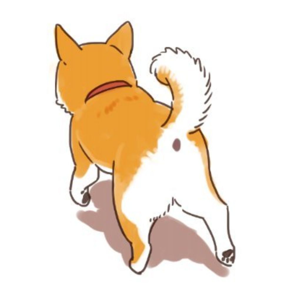 ito23aki.bsky.social profile picture