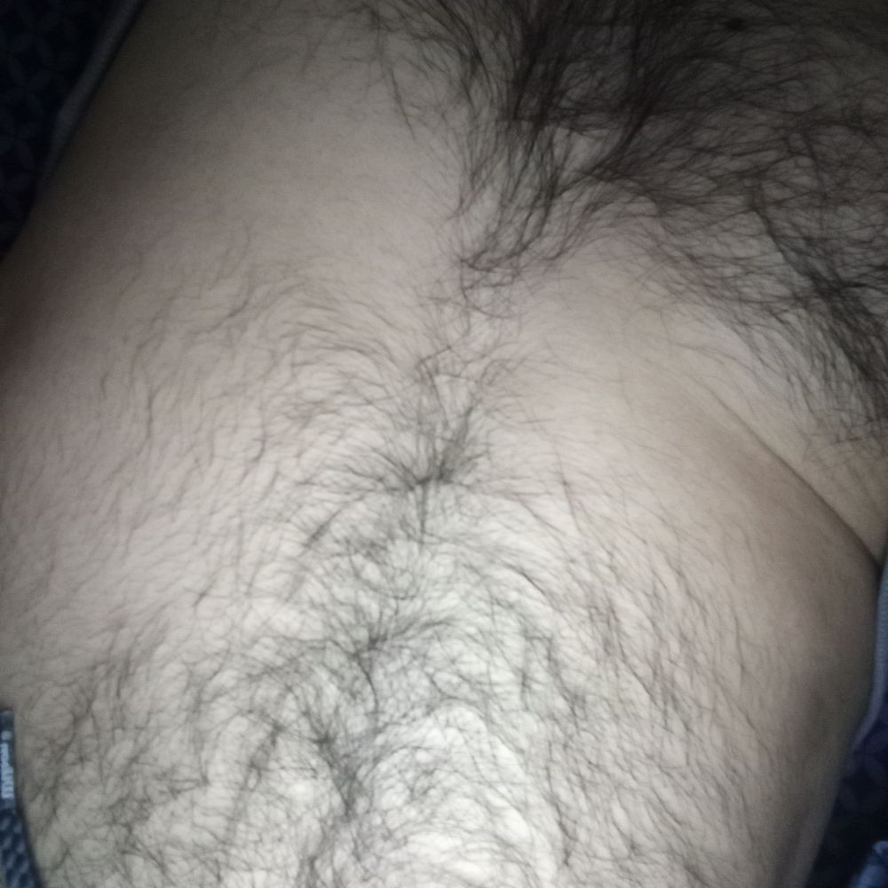 Profile picture hairybearlove.bsky.social