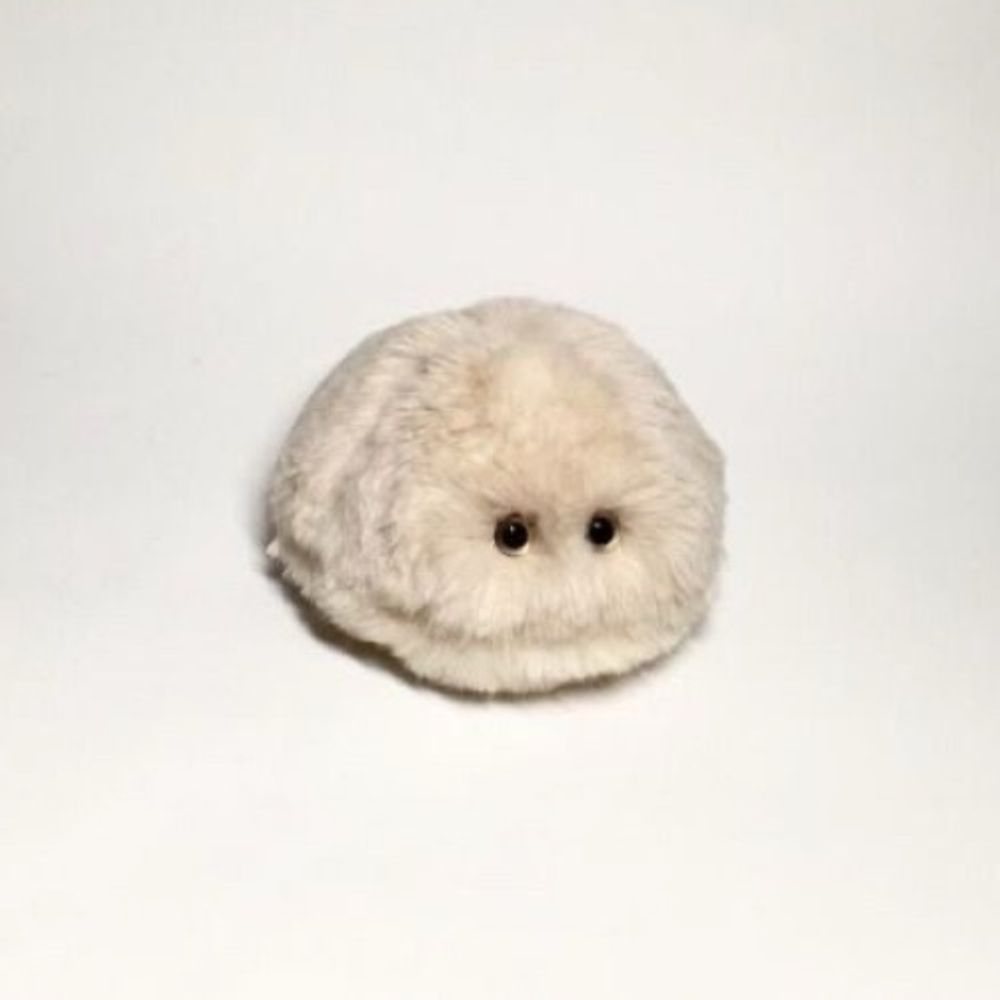 Mimmi