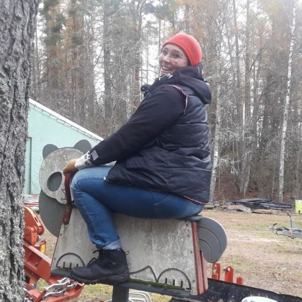 Hargita