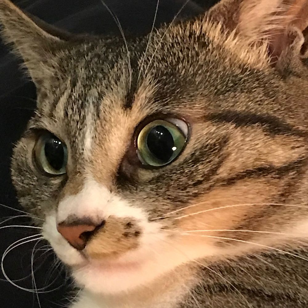 MichioY