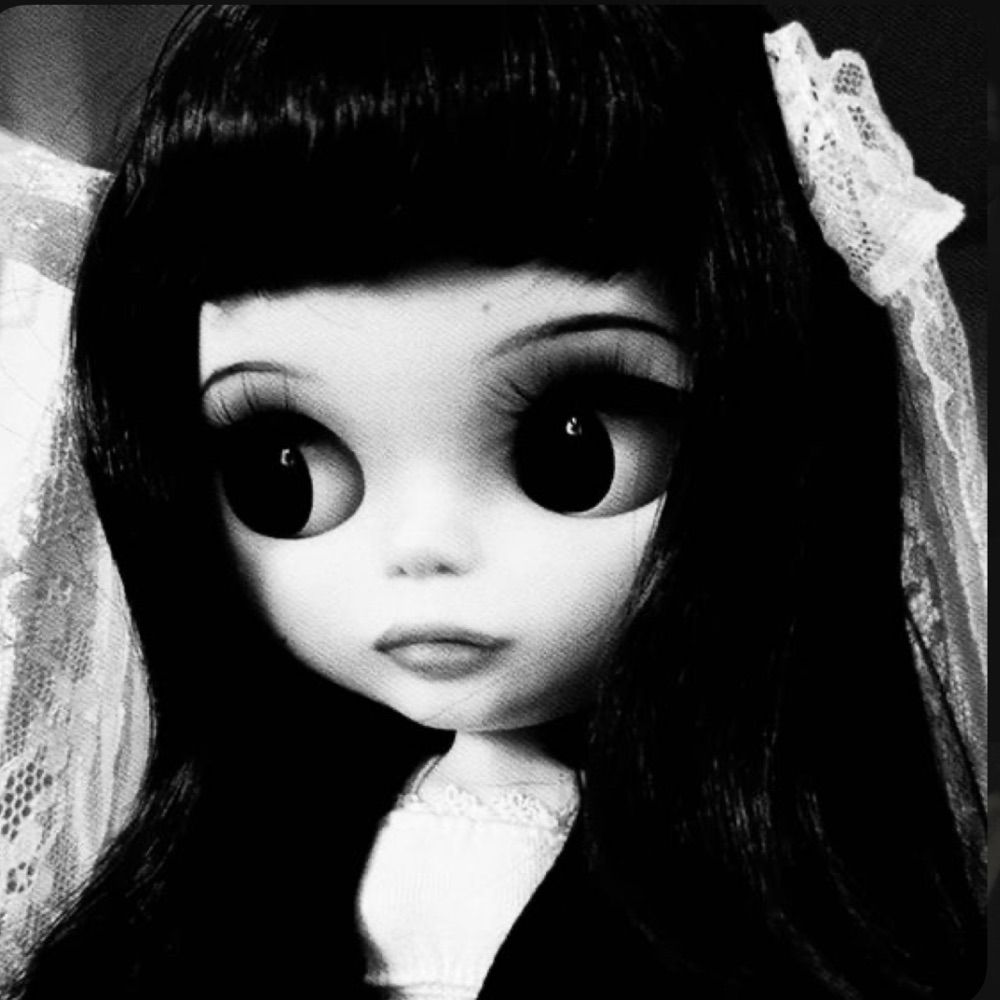 ragdoll