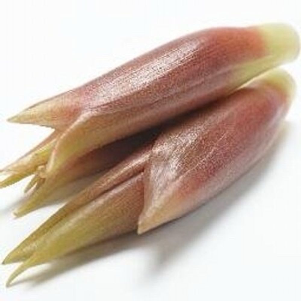 みょーが