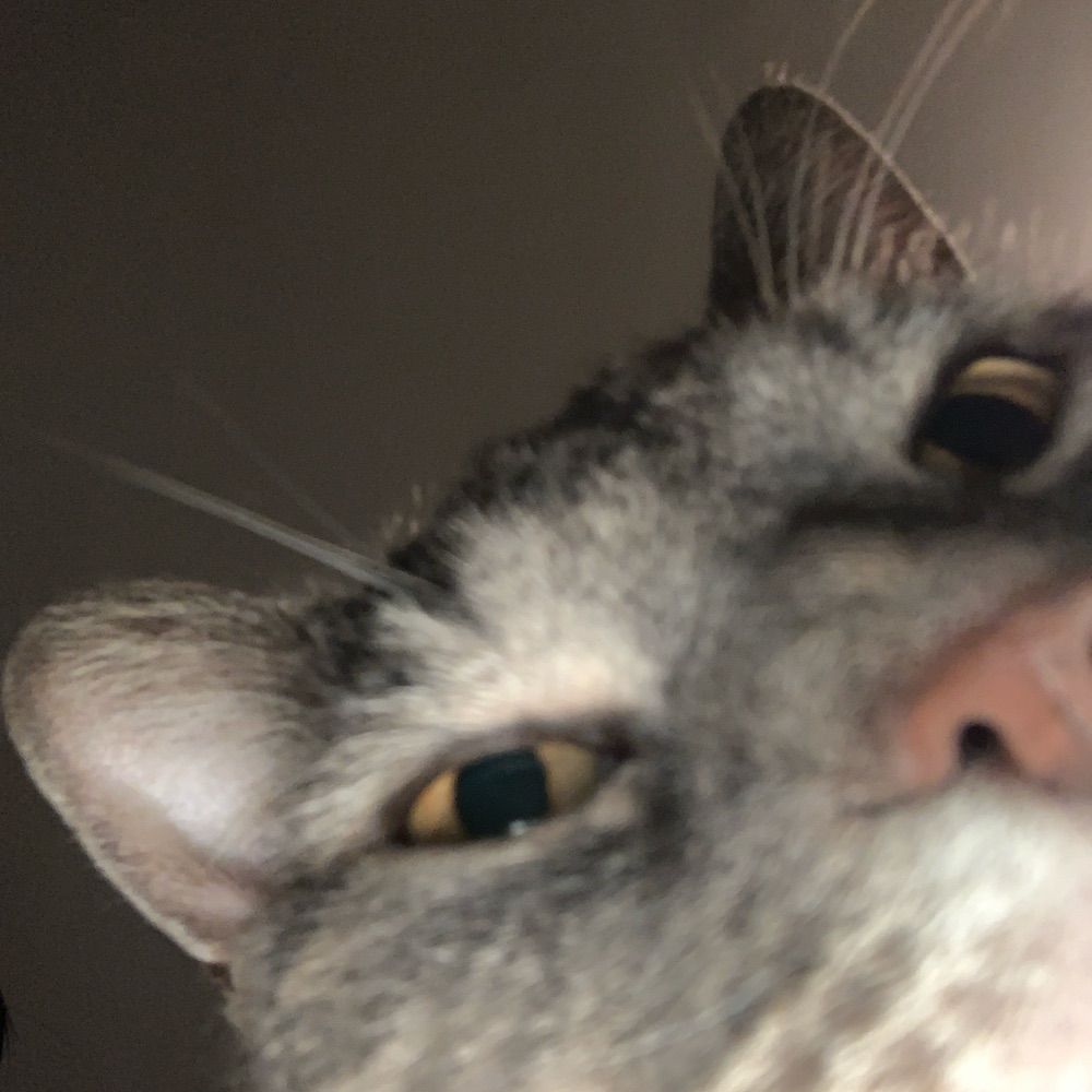 Boo